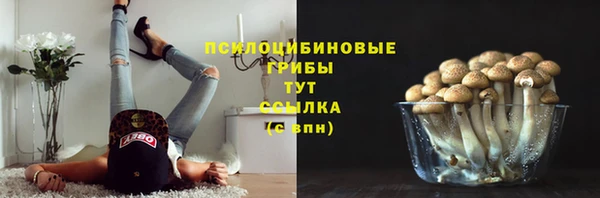гидропоника Ельня