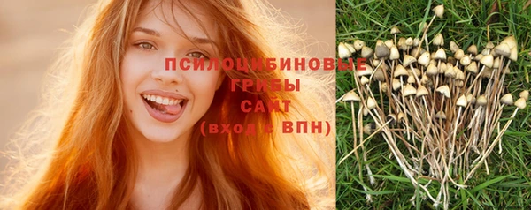 гидропоника Ельня