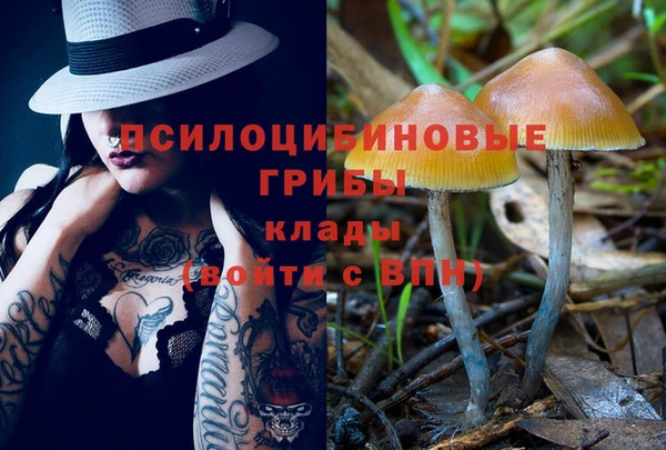 ГАЛЛЮЦИНОГЕННЫЕ ГРИБЫ Елизово