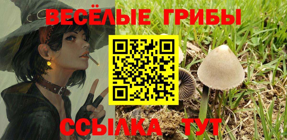 Карабулак  Галлюциногенные грибы мухоморы  Вход с VPN 